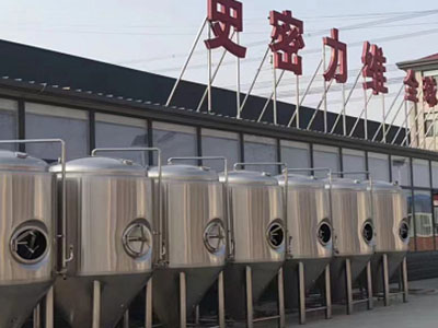 博罗精酿啤酒设备厂—如何判断精酿啤酒设备的密封件需要更换？